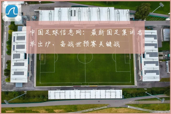 中国足球信息网：最新国足集训名单出炉，备战世预赛关键战