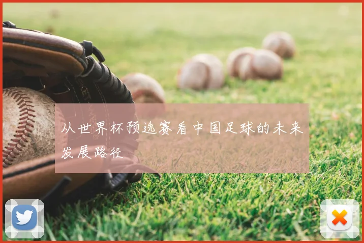 从世界杯预选赛看中国足球的未来发展路径